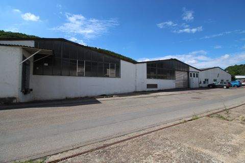 Mönsheim Halle, Mönsheim Hallenfläche