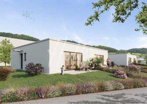 Liptingen Häuser, Liptingen Haus kaufen