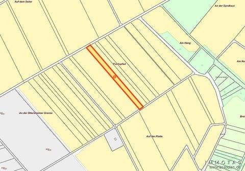 Ottersheim Bauernhöfe, Landwirtschaft, Ottersheim Forstwirtschaft