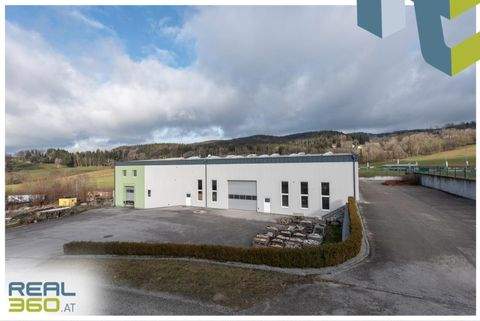 Neulichtenberg Halle, Neulichtenberg Hallenfläche