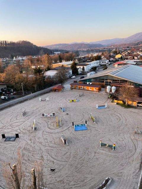 Bad Säckingen Halle, Bad Säckingen Hallenfläche