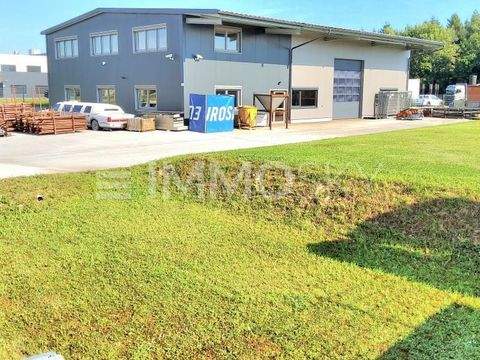 Sipbachzell Halle, Sipbachzell Hallenfläche