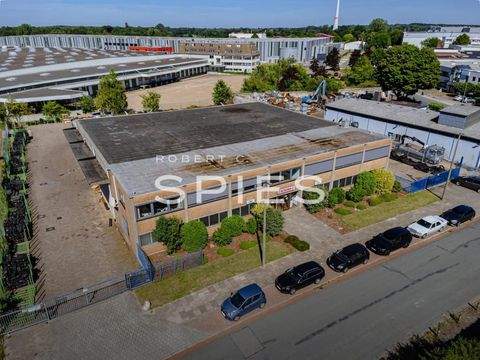 Bremen Halle, Bremen Hallenfläche