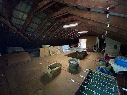 Speicher unausgebaut Bodendämm