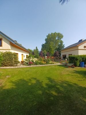 20220720_101852.jpg