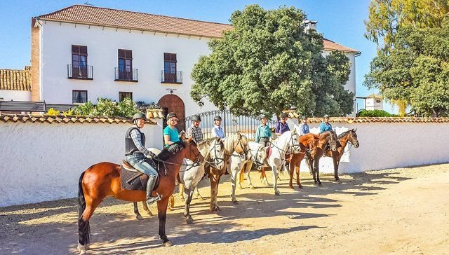 Andalusien, Antequera, Cortijo mit Gästezimmern und Reitstall zu verkaufen