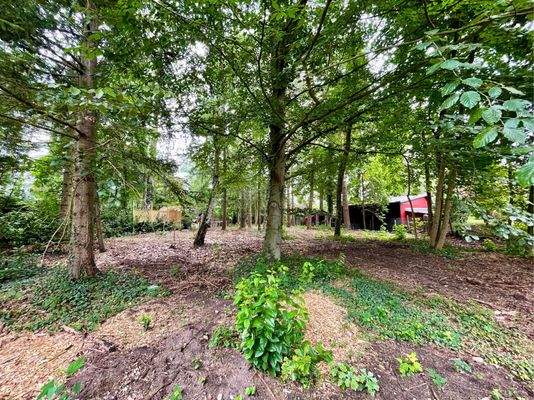 Familiendomizil in naturnaher Umgebung