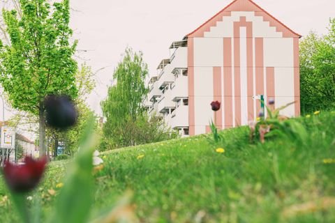 Prenzlau Wohnungen, Prenzlau Wohnung mieten