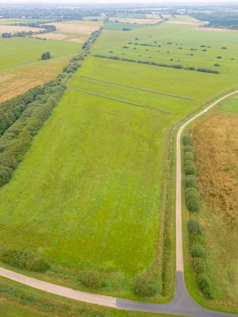 Oldersbek Bauernhöfe, Landwirtschaft, Oldersbek Forstwirtschaft