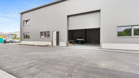 Neuburg an der Donau Halle, Neuburg an der Donau Hallenfläche