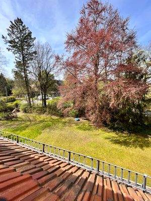 Foto 04.05.23, 10 42 00.jpg