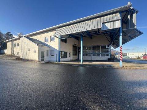 Geislingen Halle, Geislingen Hallenfläche