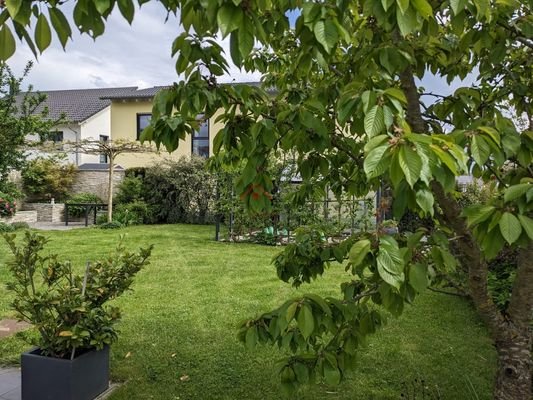 Gartenansicht