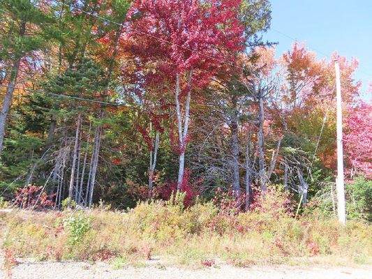 Nova Scotia - West Side Country Harbour - 52-Hekta
