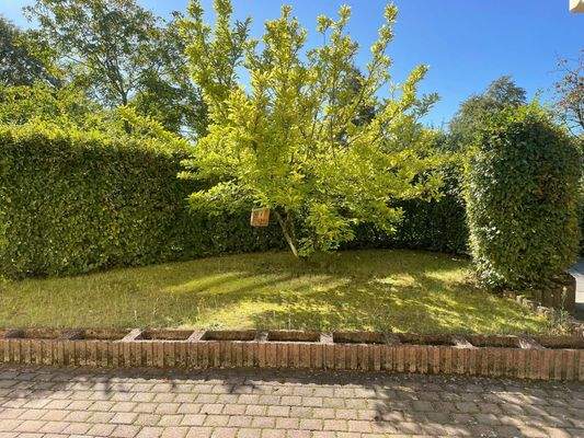 Garten mit Terrasse ELW