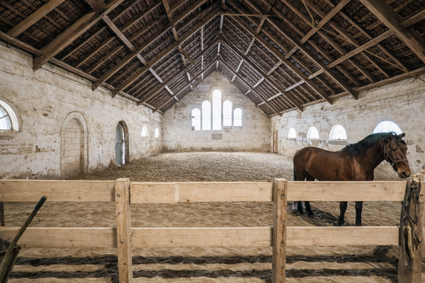 Bewegungshalle, Longieren, ..