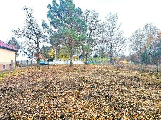 Grundstücksansicht zur Straße 