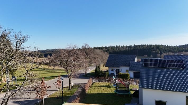 Ausblick 1