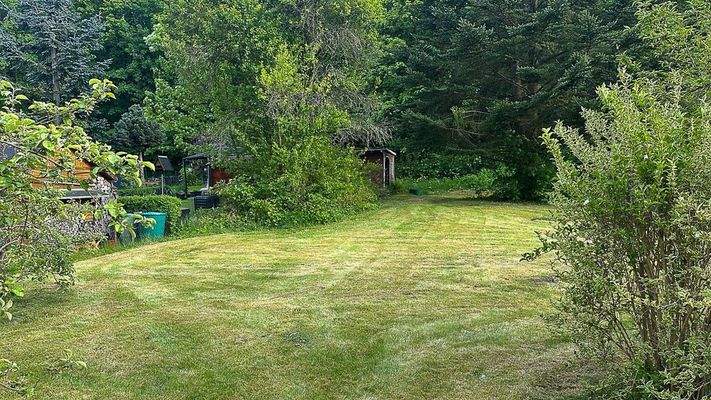 Impressionen Garten (2)