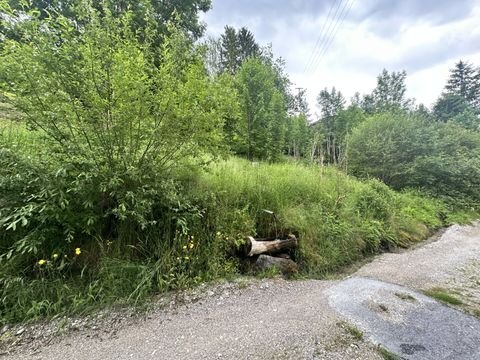 Reith bei Seefeld Grundstücke, Reith bei Seefeld Grundstück kaufen