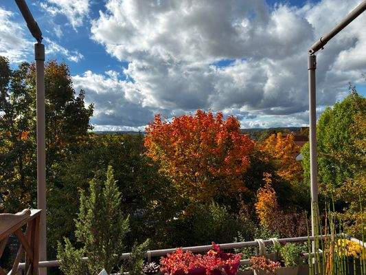 1. Aussicht vom Balkon.jpeg