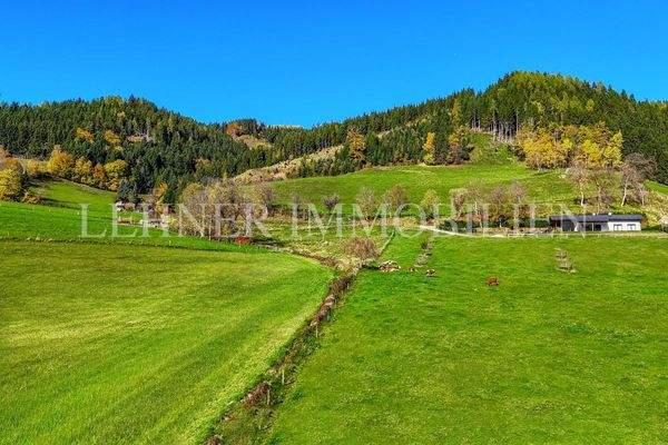 Lehner Immobilien Bild 44