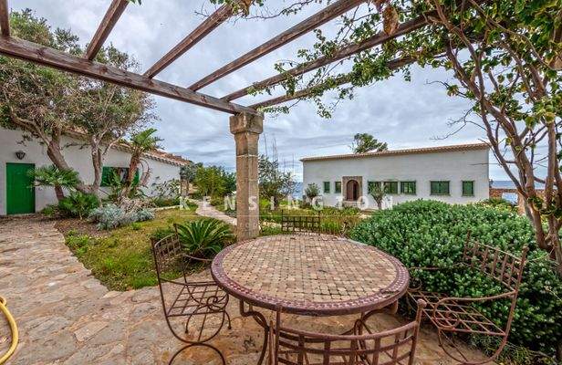 Finca in Banyalbufar auf Mallorca Terrasse