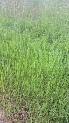 IMG-20250527-WA0012-5.jpg