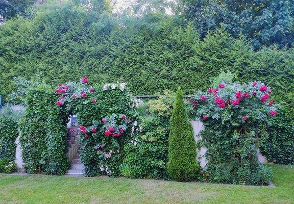 PHOTO-2025-07-24-14-34-14