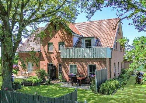 Friedrichskoog Häuser, Friedrichskoog Haus kaufen