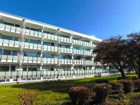 Wesseling Wohnungen, Wesseling Wohnung mieten