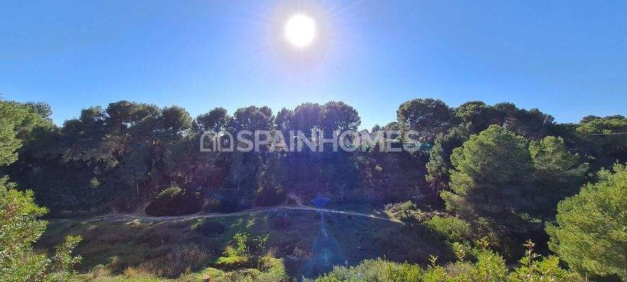 Modern Detached Villa for Sale in Pinar de Campoverde