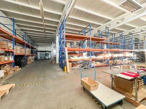 Kamenz Halle, Kamenz Hallenfläche