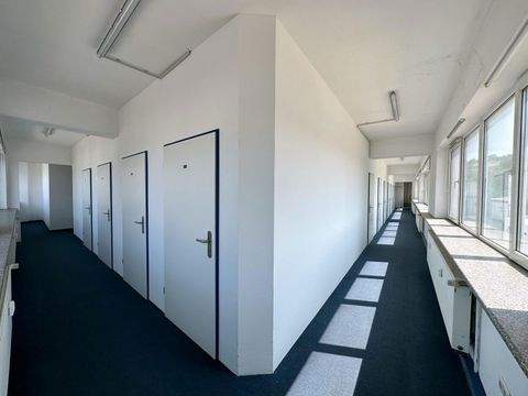 Stadecken-Elsheim Halle, Stadecken-Elsheim Hallenfläche