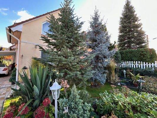 hübscher Garten vor dem Haus