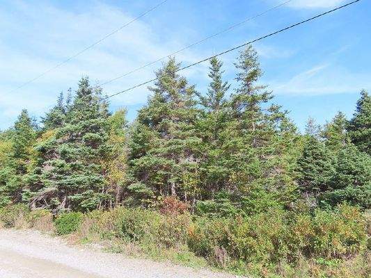 Cape Breton - Belfry Lake - Traumhaft schöne Lage 