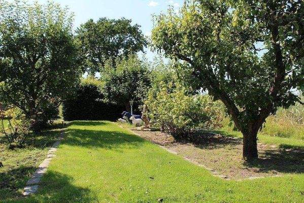 Eigene kleine Obstplantage