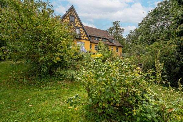 Blick aus dem Garten