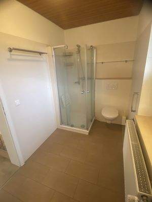 Badezimmer mit Dusche-1.jpg