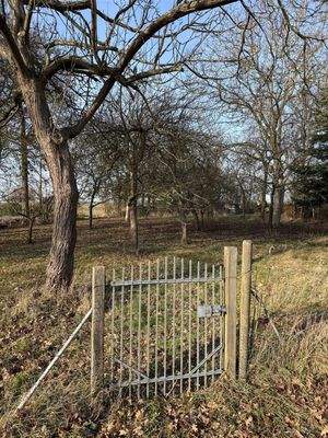 seitlicher Garteneingang 