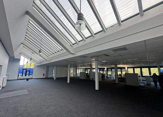 Screenshot 2025-04-11 115526