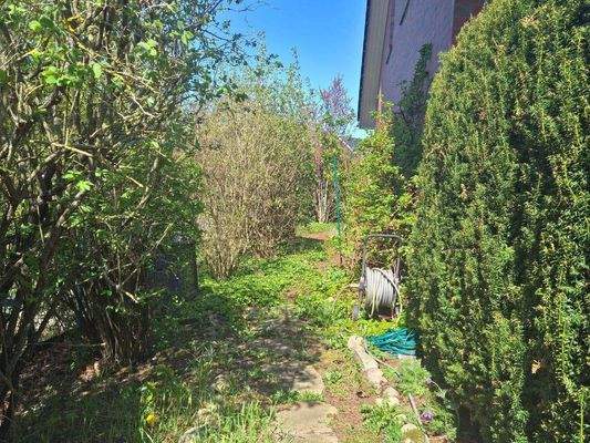 Weg am der westlichen Grundstücksgrenze