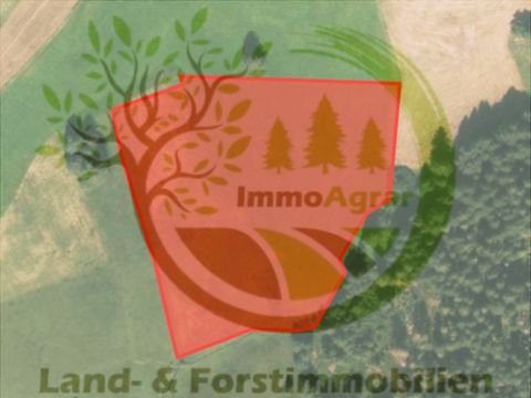 Bernbeuren Bauernhöfe, Landwirtschaft, Bernbeuren Forstwirtschaft