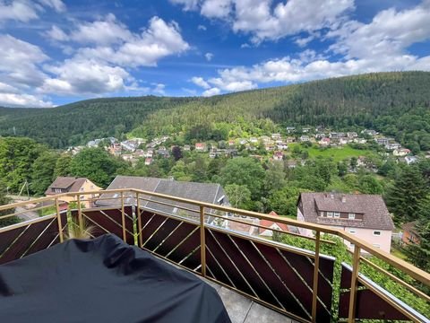 Bad Wildbad Wohnungen, Bad Wildbad Wohnung kaufen