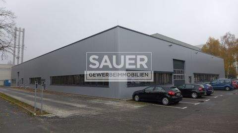 Berlin Halle, Berlin Hallenfläche