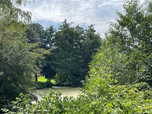 Der idyllische Teich