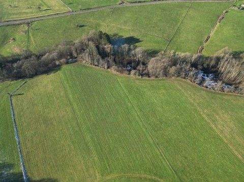 Ruppichteroth Bauernhöfe, Landwirtschaft, Ruppichteroth Forstwirtschaft