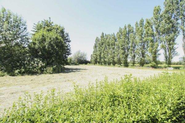 Grundstück als Kaufoption