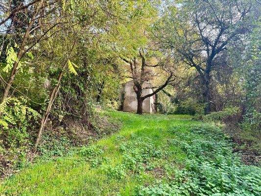 WhatsApp Image 2024-11-05 at 11.24.25.jpeg