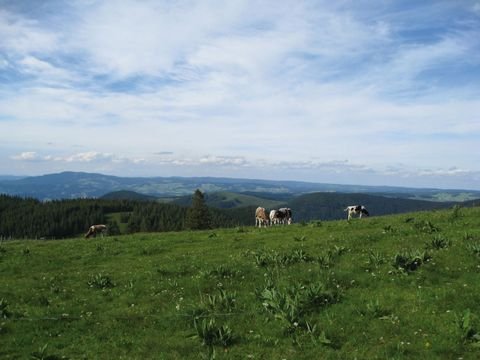 Chalampé Häuser, Chalampé Haus kaufen